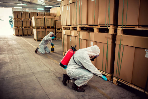 Best Wildlife Control Services  in Burgettstown, PA