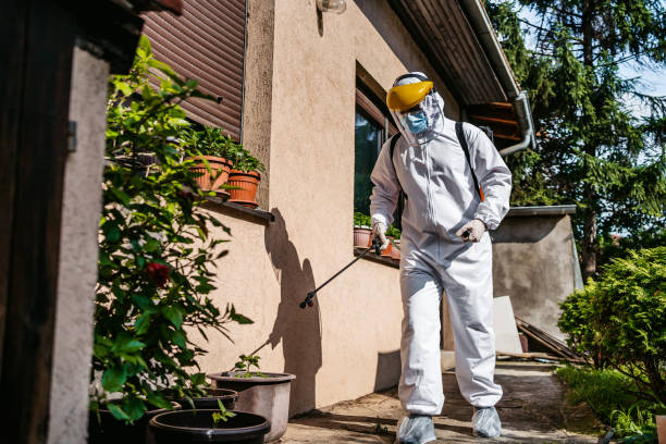 Best Bed Bug Extermination  in Burgettstown, PA