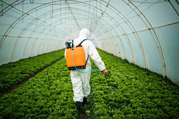 Best Pest Removal Services  in Burgettstown, PA