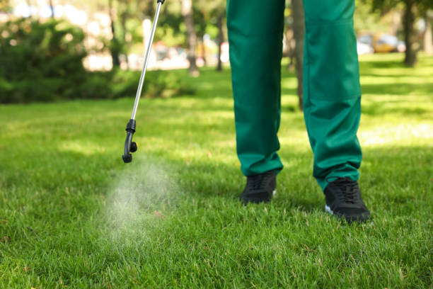 Best Pest Control Near Me  in Burgettstown, PA