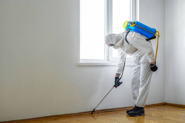 Best Residential Pest Control  in Burgettstown, PA